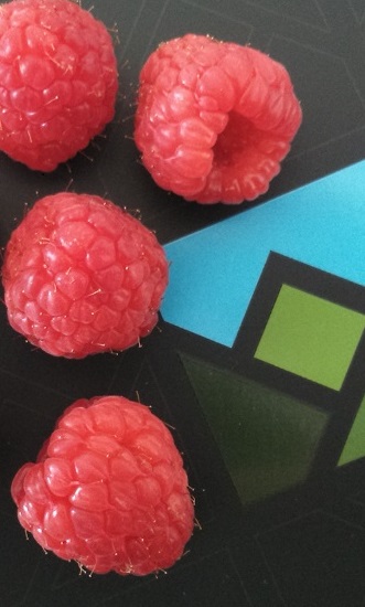 FRUTA CON LOGO