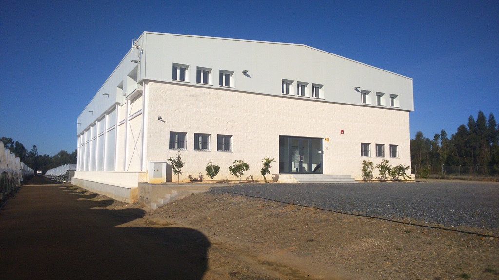 nave