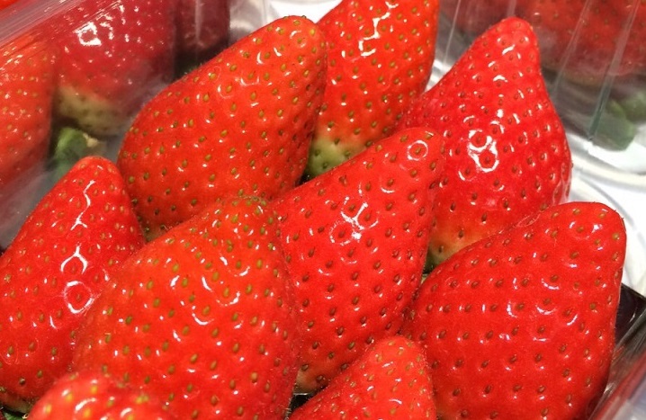 fresas