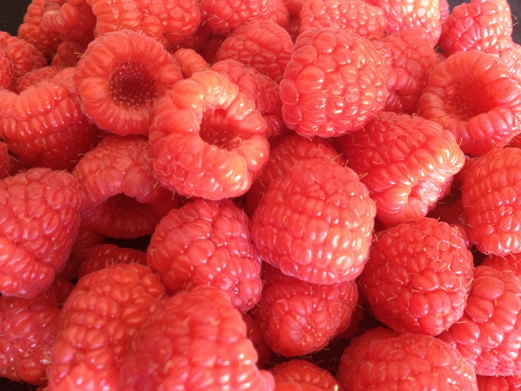 frutos